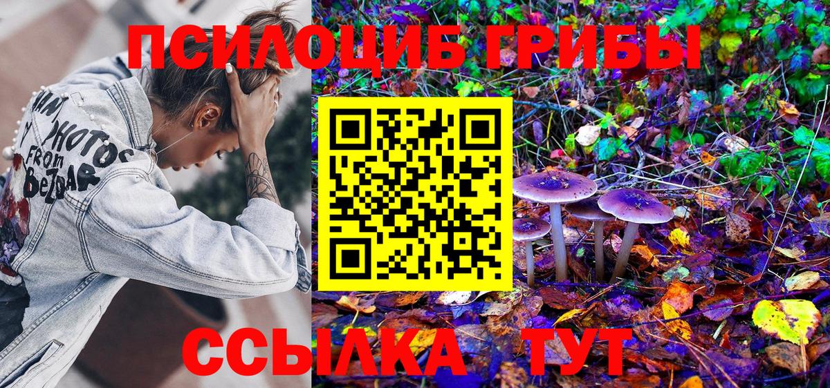 Псилоцибиновые грибы мицелий Клин